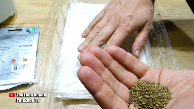 МОРКОВЬ ПОВЫШАЕМ ВСХОЖЕСТЬ СЕМЯН ПЕРЕД ПОСЕВОМ смотреть онлайн