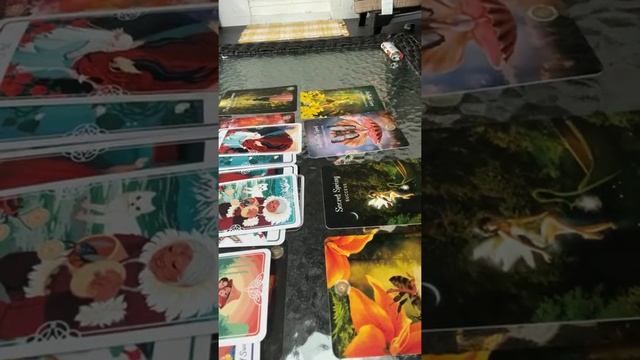 Sacred forest sacred knowledge смотреть онлайн