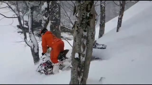 23февраля Лагонаки17г смотреть онлайн