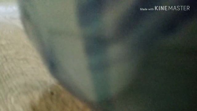 Лимон умеет готовить? Вика ругается?/Джинка пружинка смотреть онлайн