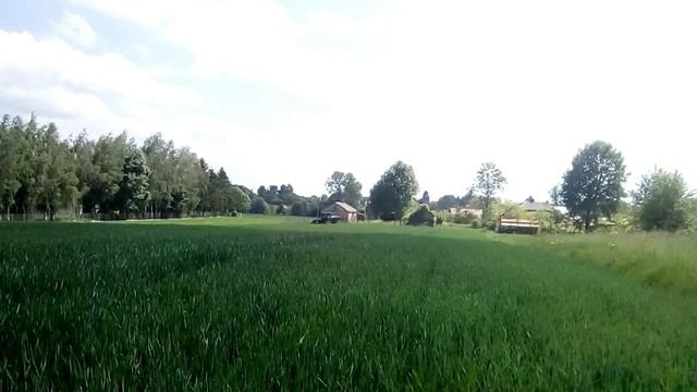rozsiewanie saletrzaku na pszenice john deere+sipma boryna 1500 смотреть онлайн