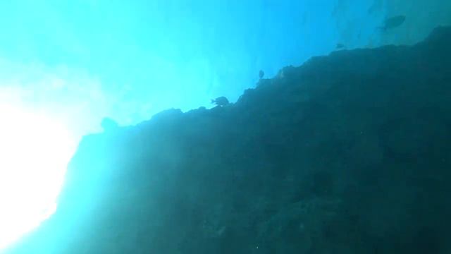 Красное море, двадцать метров от берега смотреть онлайн