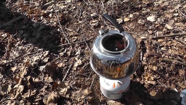 Березовый гриб Чага: мои рекомендации, примеры