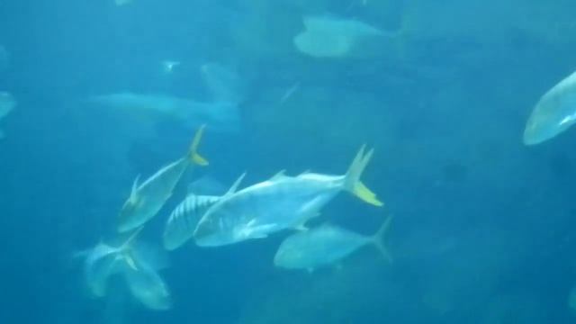 Почему мы так живем смотреть онлайн