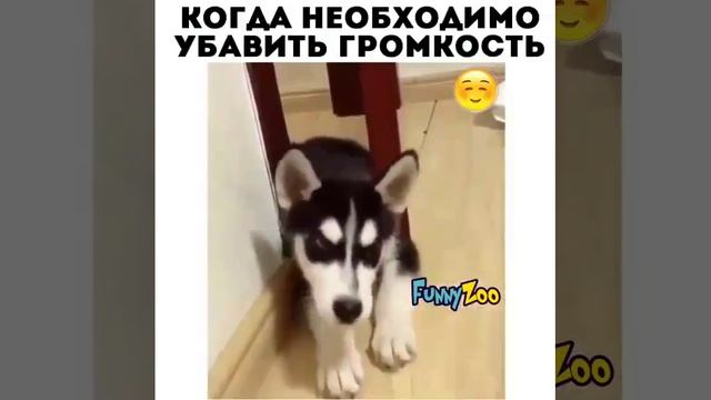 когда не обходимо убавить голос ребятам на фронт я там уже был и знаю каково это 2202 2003 4591 2586 смотреть онлайн
