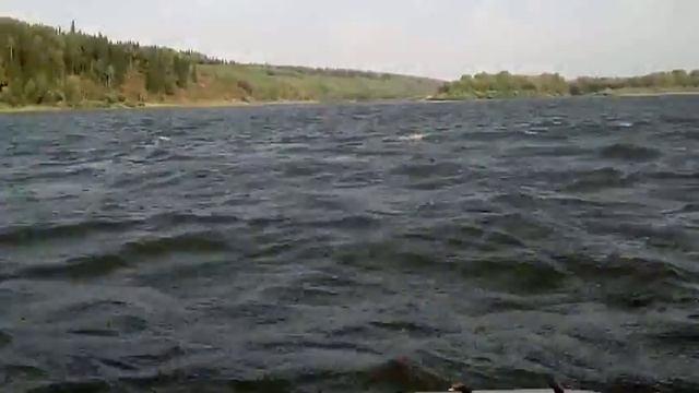 Бычье горло смотреть онлайн
