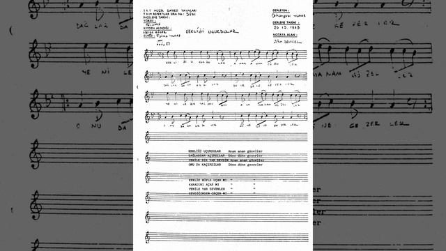 3801 Kekliği Uçurdular 3x80 240 false смотреть онлайн