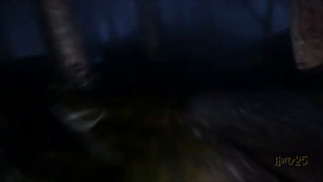 THE CHAMBER OF SECRETS Harry Potter escapes from the forbidden forest. (gameplay) смотреть онлайн