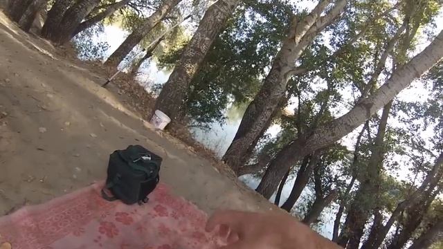 Ловля карпа. Снасть на макуху. смотреть онлайн