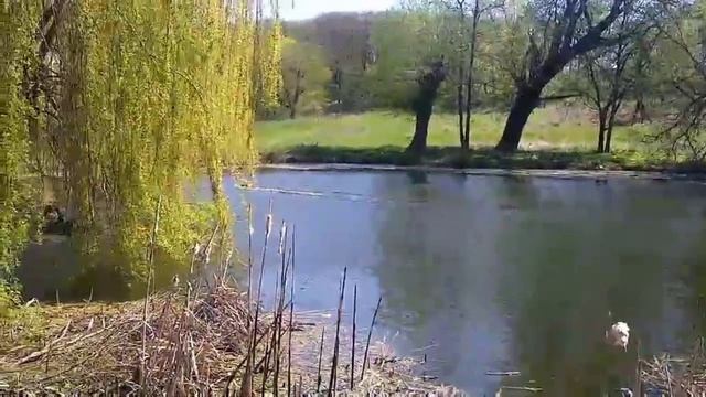 Последние тесты кораблика с gps marker, для завоза прикормки и оснасток... ! смотреть онлайн