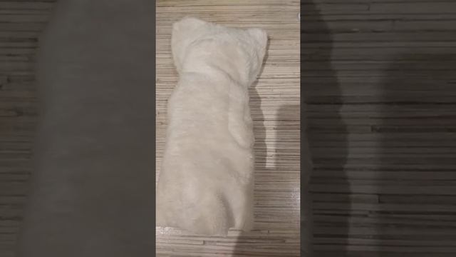 Как сшить кошку легко смотреть онлайн