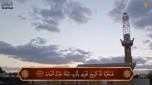 Шейх Мухтар Аль Хадж. Прекрасное чтения КОРАНА