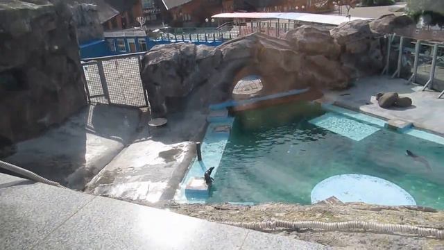 №3922 13 08 2023 Утро смотреть онлайн