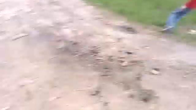 Я ненавижу лошадей смотреть онлайн