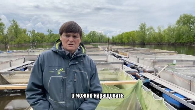 Осетровая ферма «Морозовский осётр». смотреть онлайн