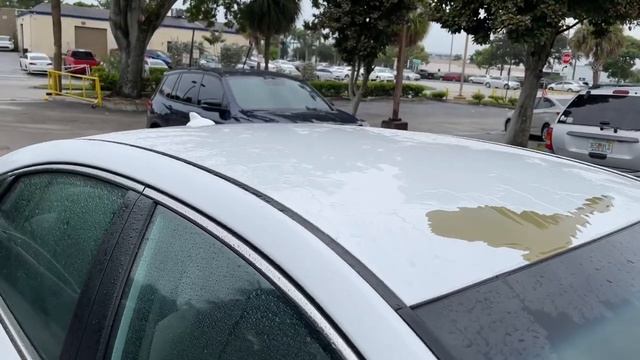 Beware Of Hyundai Sonata Bad Paint Job From 2015- 2019