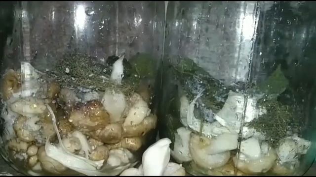 Уютный порядок