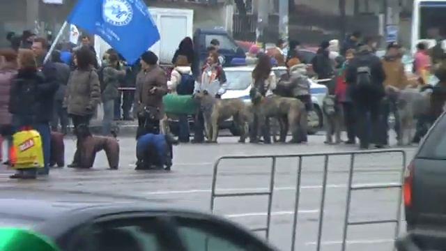 2010-03-21 Москва День Св Патрика Официальный парад 01-2 смотреть онлайн