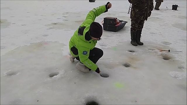 Классику - морковка на шартрезе никто не отменял. Клёвое место, Лосиный остров, спорт - зона. смотреть онлайн