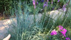 Создание миксбордера