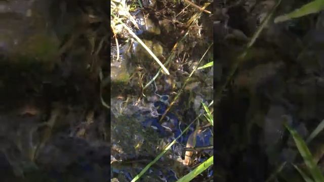 Исток Москвы реки смотреть онлайн