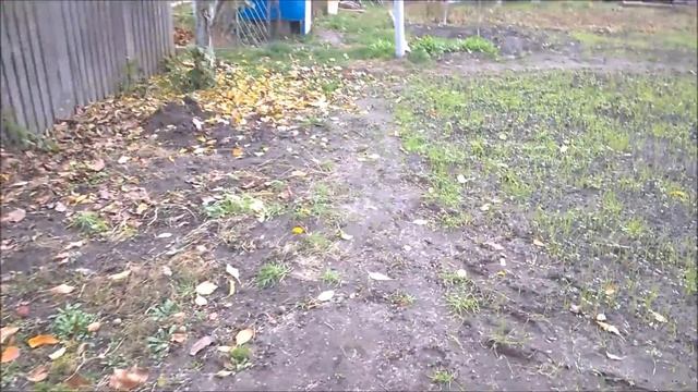 Откровения О Жизни и Чесноке/ Ремонт Сарая / Обшивка Сарая Доской Американкой смотреть онлайн