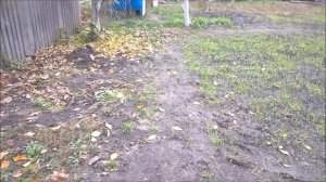 Откровения О Жизни и Чесноке/ Ремонт Сарая / Обшивка Сарая Доской Американкой