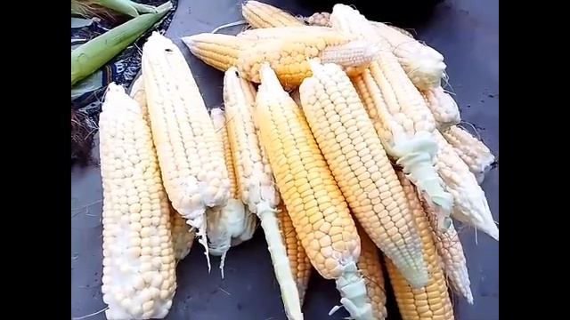 Boiled corn recipe with masala |chali boil karnay ka asan tariqa |boiled makki ki chali | смотреть онлайн