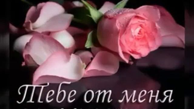 100010204-LP  Добрым людям тихого вечера и спокойной ночи (1.33)