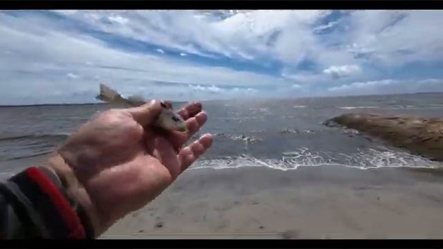 В АВСТРАЛИИ ЛУЧШЕ ПЛОХОЙ ДЕНЬ НА РЫБАЛКЕ ЧЕМ ХОРОШИЙ НА РАБОТЕ!!!! смотреть онлайн