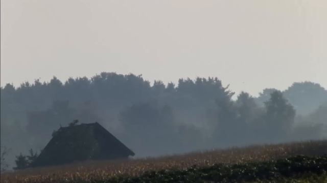 Herbsttage in Bocholt смотреть онлайн