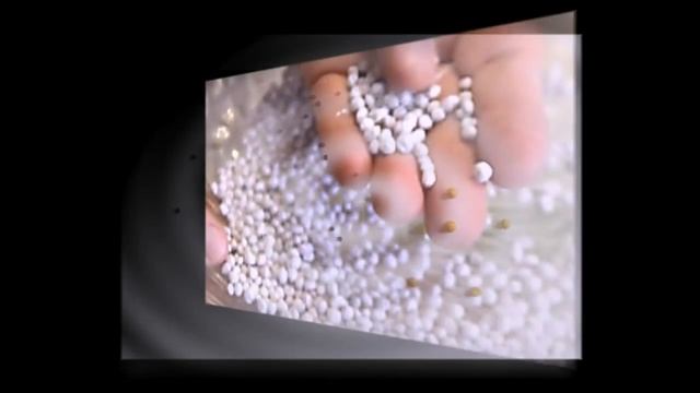 Как нельзя сажать гранулированные семена