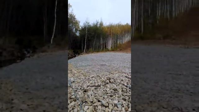 Габионщики :) смотреть онлайн