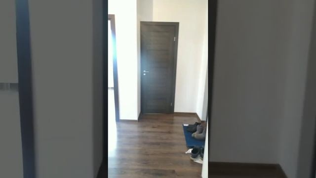 ЖК эмеральд на Малой Неве смотреть онлайн