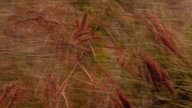 Zdenek Fibich: Sonate op 28, B Dur für Klavier zu vier Händen, 3 Satz: Allegretto vivo HD 720p смотреть онлайн