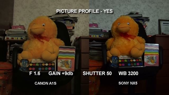 сравнение CANON A1S и SONY NX5E смотреть онлайн