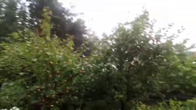 Как прожить на даче два месяца лета 2020 смотреть онлайн