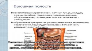 Рентген брюшной полости в Москве