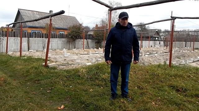 Когда укрывать виноград . Сроки. смотреть онлайн