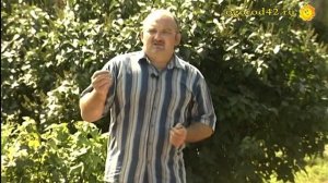 Крайне опасно!!! О картофельной моли