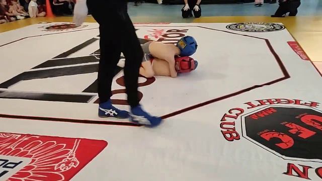 Dominator Extreme Fight 13 -8 смотреть онлайн