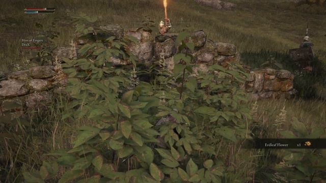 Lets play CoOp Elden ring gameplay "ep1" смотреть онлайн