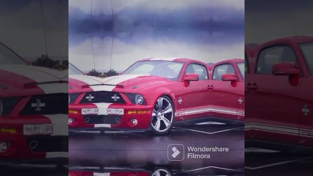 Reportaje Fotográfico MUSTANG ?