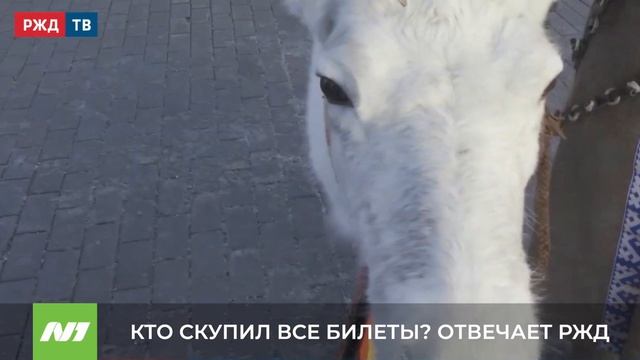 КТО СКУПАЕТ ВСЕ БИЛЕТЫ? ОТВЕЧАЕТ РЖД смотреть онлайн