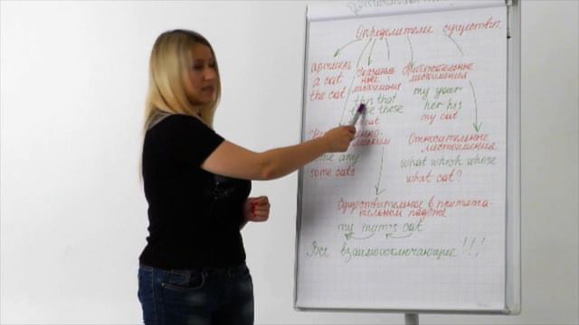 Блок 1. Теория. Опредилители имени существительного смотреть онлайн