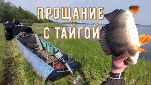 Забросили в тайгу ХМАО-Югры на рыбалку. Одного. Часть4. Прощание с тайгой.