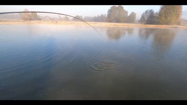 PSTRĄGI TĘCZOWE NA GRUNTO SPINNING I BERKLEY GULP