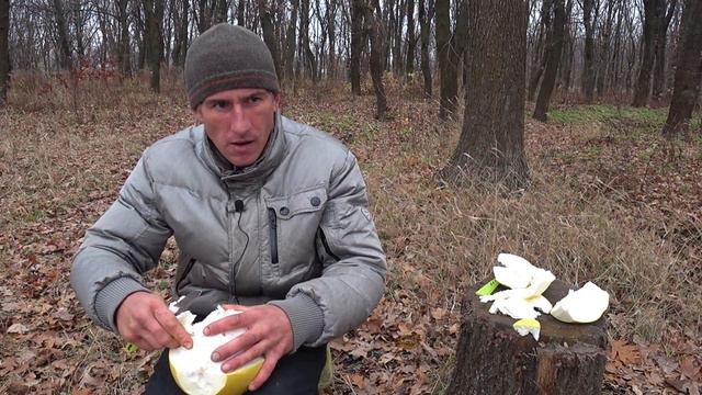 Впервые пробую ПОМЕЛО смотреть онлайн