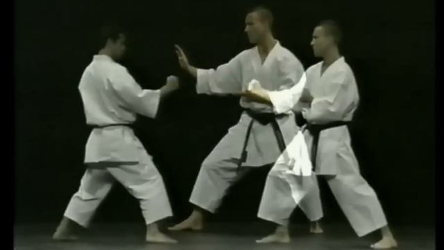 Kata Kanku-Dai - Bunkai