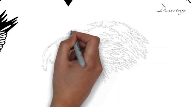 How to draw eagle tattoo | Eagle tattoo | Eagle tattoo traditional смотреть онлайн